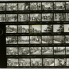 Contact sheet #3