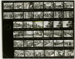 Contact sheet #3