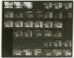 Contact sheet #4