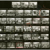 Contact sheet #2