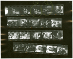 Contact sheet #2