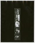 Contact sheet #3