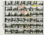 Contact sheet #1