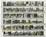 Contact sheet #2