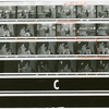 Contact sheet #5