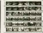Contact sheet #2