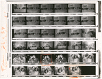 Contact sheet