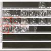 Contact sheet