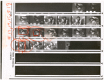 Contact sheet
