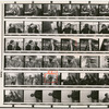 Contact sheet #2