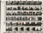 Contact sheet #2