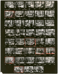 Contact sheet