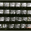 Contact sheet #1