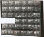 Contact sheet #1