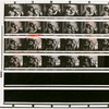 Contact sheet