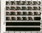 Contact sheet