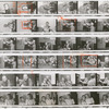 Contact sheet #1