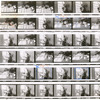Contact sheet
