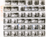 Contact sheet