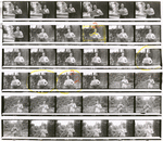 Contact sheet