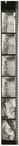 Contact sheet #1