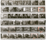 Contact sheet #2