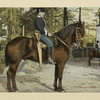 Netherlands, 1900-09 [part 1]