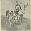 Egypt, 1820-1898