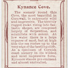 Kynance Cove.