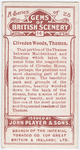 Cliveden Woods, Thames.