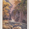 Fairy Glen, Bettws-y-Coed.