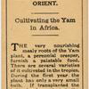Cultivating the Yam in Africa.