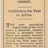 Cultivating the Yam in Africa.