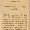 Cultivation of rice in China.