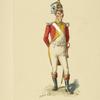 Italy. Kingdom of the Two Sicilies, 1806-1808 [part 6]