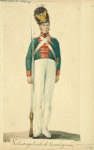 Italy. Kingdom of the Two Sicilies, 1806-1808 [part 7]