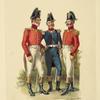 Italy. Kingdom of the Two Sicilies, 1806-1808 [part 8]