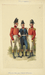 Italy. Kingdom of the Two Sicilies, 1806-1808 [part 8]