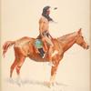 A Cheyenne buck