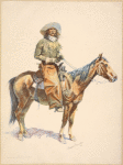 An Arizona cowboy