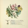 Lycidas. [with text beginning:] The Musk-rose and the well attired Woodbine . . .