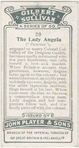 The Lady Angela.