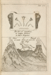 Tab. 16. Flos loti vel nympheae; Shiva et Párvadi in monte Meru.