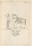 Tab. 21. Decima Incarnatio Dei Vishnu.