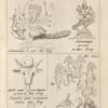 Tab. 26. Subramanya; Subramanya; Tab. 27. Apidis caput cum lingam; Serpentes sacri.