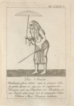 Tab. 29b. Rex Aracéri.