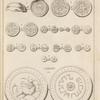 Tab. 31. Nummi Indici Musei Borgiani Velitris.