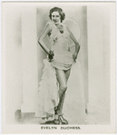 Evelyn Duchess.