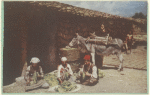 Stringing aromatic Turkish Tobacco is a tedious task.