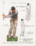 No. 6 Long Chip shot-hanging lie -  W.J. Branch.